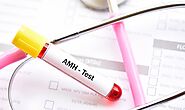 AMH Blood Test | AMH Levels Test | Indira IVF