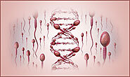 All you need to know about Sperm DNA Fragmentation - indiraivf