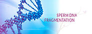 Sperm DNA Fragmentation Causes & Symptoms | DNA Fragmentation Test | Indira IVF