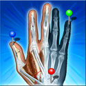 IMAIOS e-Anatomy Review | Android App | Playboard