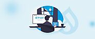 Top 10 Drupal Development Companies in 2022 (Based on Client Reviews)