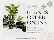 What are the advantages of ordering plants online? | by Garner | Feb, 2022 | Medium