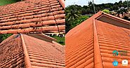 Miami Roof Cleaning Services