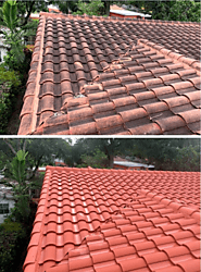 Coral Gables Roof Cleaning