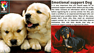 Register your emotional support dog - PDSC