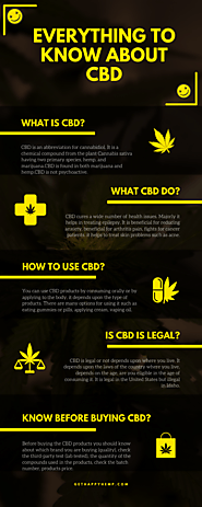 Everything To Know About CBD