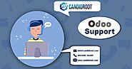 Best ODOO Support Services in Ahmedabad, Candid Root