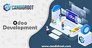 ODOO Development Company, Candid Root.