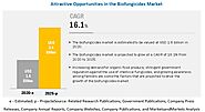 Biofungicides Market Size, Share and Forecast 2020-2025