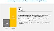 Feed Acidulants Market Will Hit Big Revenues In Future