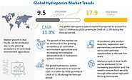 The Demand for Hydroponics System in the Horticulture Industry to Drive the Growth of the Market