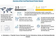 Feed Plant-based Protein Market to Witness Astonishing Growth by 2025