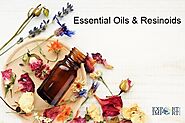 HS Code for Essential Oils: Chapter 33 HS Codes List