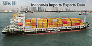 Indonesia Import Data, Indonesia Export Data, Trade data & Statistics Report