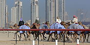 Al Marmoom Camel Race Track