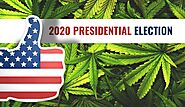 Hemp Stock Industry After USA Election 2020 – cannin group