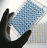 Global Glycated Albumin Assay Market to Surpass US$ 776.5 Million by 2027