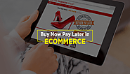 How to Impact BNPL On eCommerce Business During COVID -19?