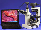 Top 5 Reason Why VanGuard Trinocular Microscope is Helpfull....