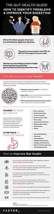 The Gut Health Guide: How To Identify Problems & Improve Your Digestion