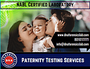 Paternity Testing Services