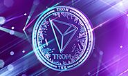 What is the main difference between TRC10 and TRC20 for the Tron Blockchain?