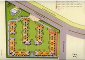 Gulshan Ikebana Sector 143 - 2/3 BHK Apartments Noida Express Way