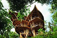 Some Amazing Bamboo House Design Ideas  