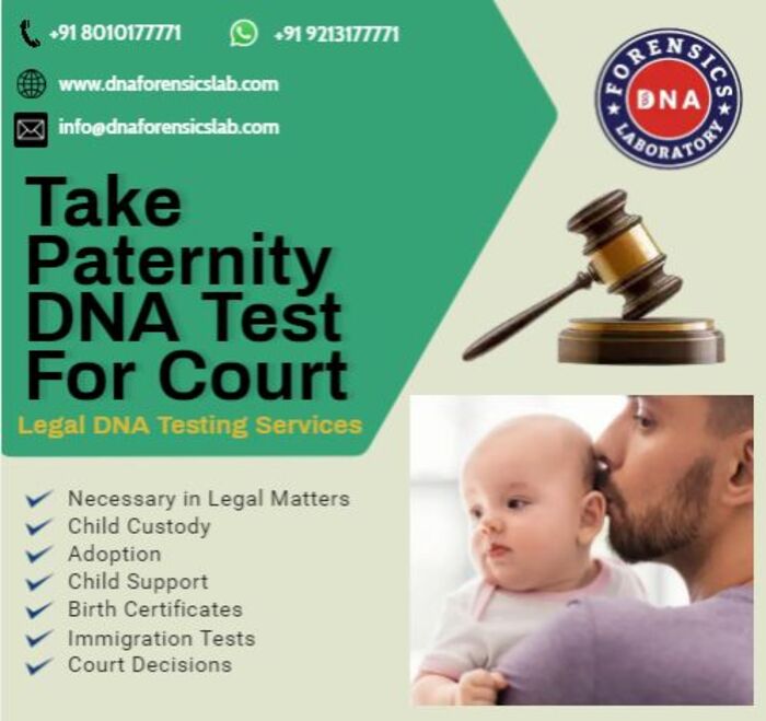 Paternity Test For Court A Listly List