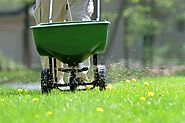 Lawn Care Tips That You Must Follow for the Rainy Season