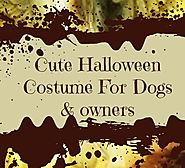 Cute Halloween Costumes For Dogs And Owners Everyone Loves