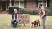 Doritos® - Goat 4 Sale