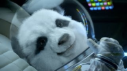 "Space Babies" 2014 Kia Sorento Big Game Ad - YouTube