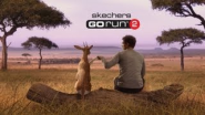 Skechers - GOrun 2 -- Man vs Cheetah Big Game Commercial - YouTube
