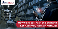 Keep Track of Serial and Lot Assembly Items in NetSuite | The Blueflame Labs