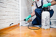 Tips And Tricks For Pest Control In Los Angeles