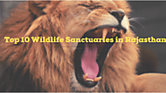Top 10 Wildlife Sanctuaries in Rajasthan – Padharo Mhare desh