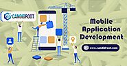Top Rated Odoo Mobile Application Development Company