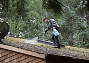 Why is Professional Roof Cleaning necessary?