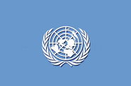 U.N. Concern About the Commercial Sale of Children For Adoption