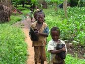 Veggication - Communal vegetable planting education scheme to give children the opportunity to learn about their indi...