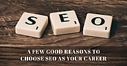 What are the reasons of choosing SEO as a Career after +12?
