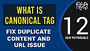 What is Canonical Tag in Hindi | Why You Should Add | Fix Duplicate Content & URL