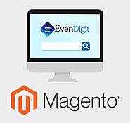 Magento SEO Website Optimization Services Company
