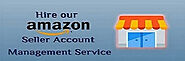 Best amazon account management Service