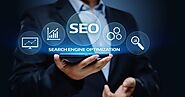 Search Engine Optimization Agency- Digital Hub Solution