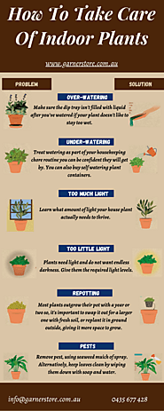 How To Take Care Of Indoor Plants