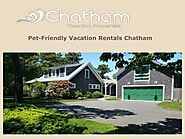 Pet-Friendly Vacation Rentals in Chatham