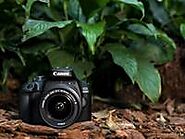 Canon EOS 4000D - Cameras - Canon UK