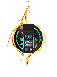PLUGplay PLUG DNA: Girl Scout Cookies - goowonderland dispensary